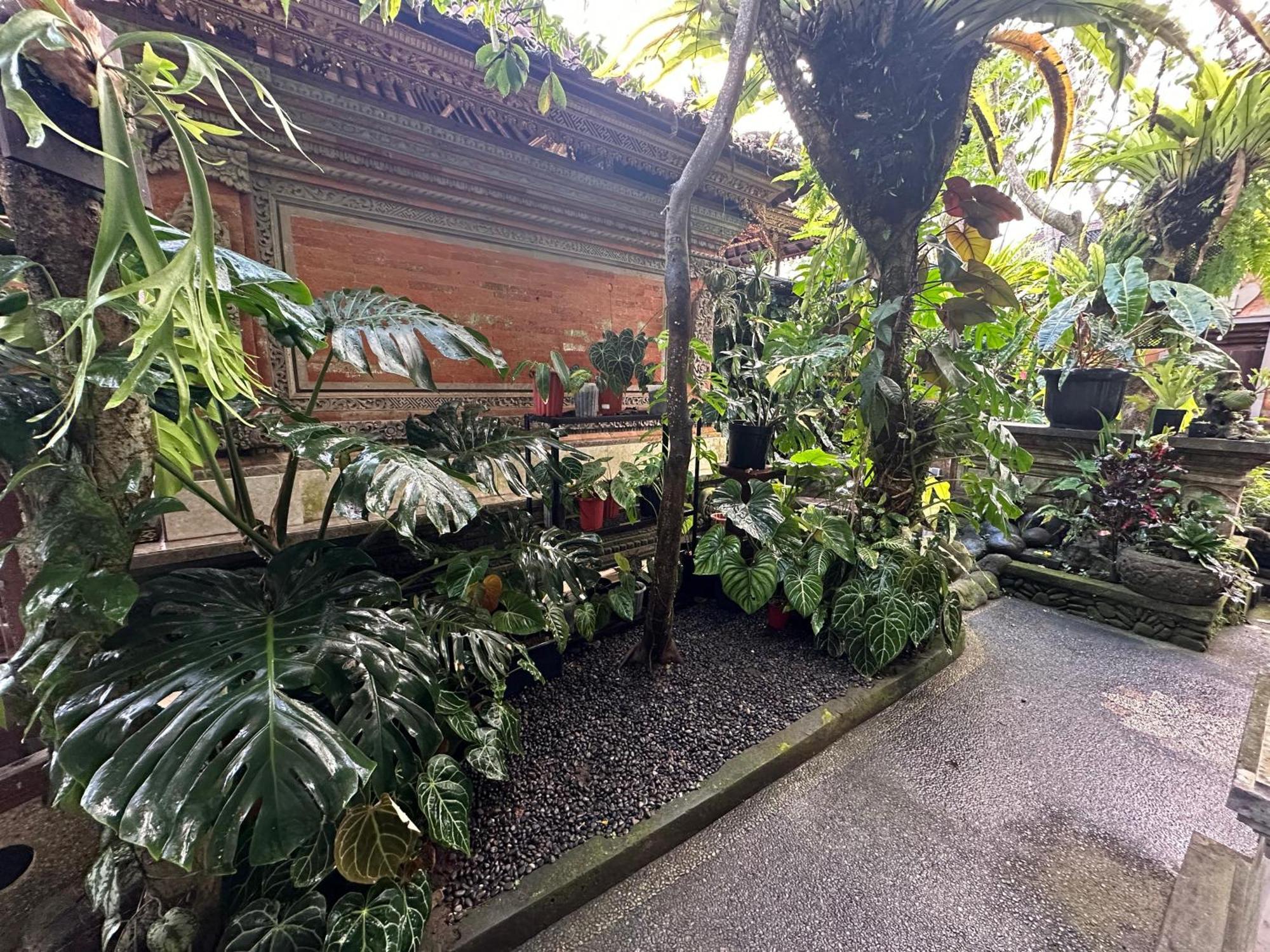 Naeera Guest House Ubud Exteriör bild