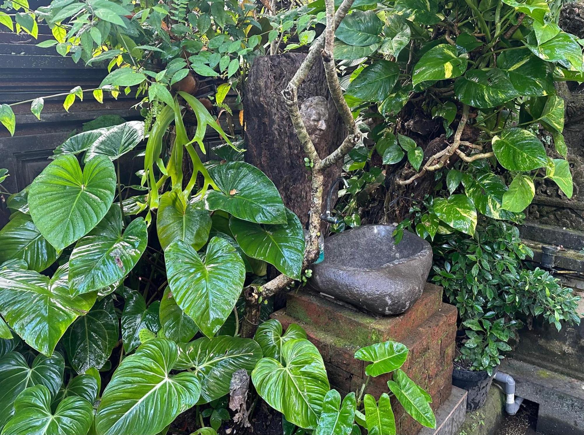 Naeera Guest House Ubud Exteriör bild