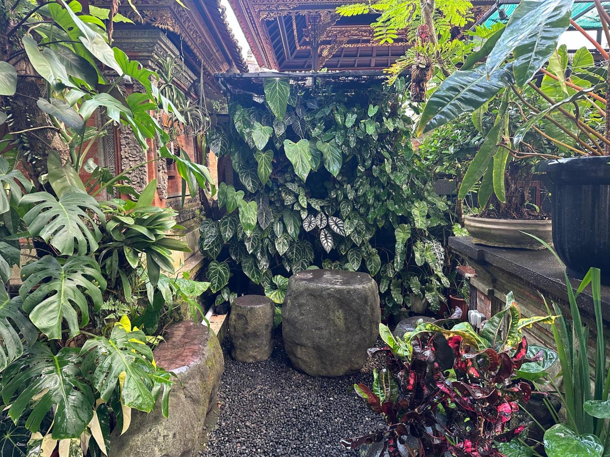 Naeera Guest House Ubud Exteriör bild